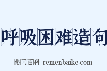 呼吸困难造句是什么意思的图片